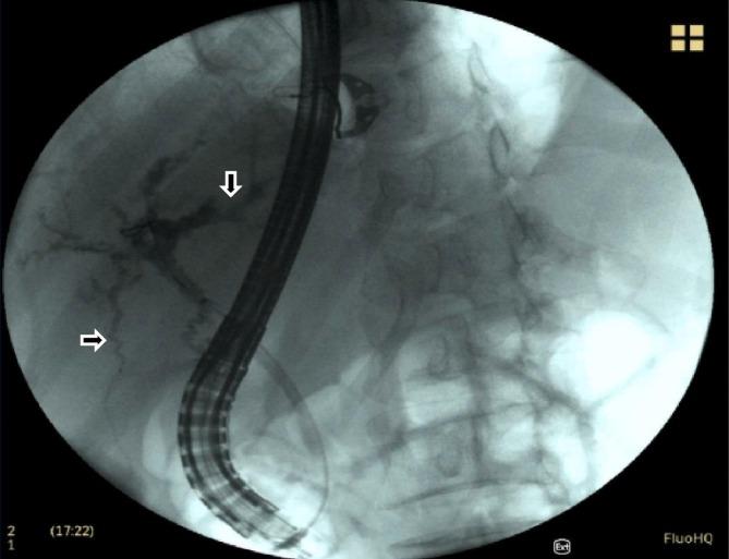 https://cdn.ncbi.nlm.nih.gov/pmc/blobs/70b2/8314797/e8640172156e/gr5_lrg.jpg