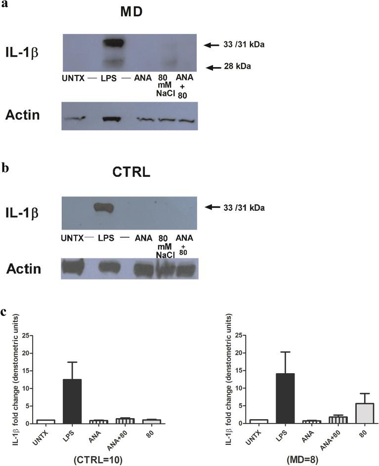 https://cdn.ncbi.nlm.nih.gov/pmc/blobs/70b7/8943007/681227a4bf80/41598_2022_8967_Fig5_HTML.jpg