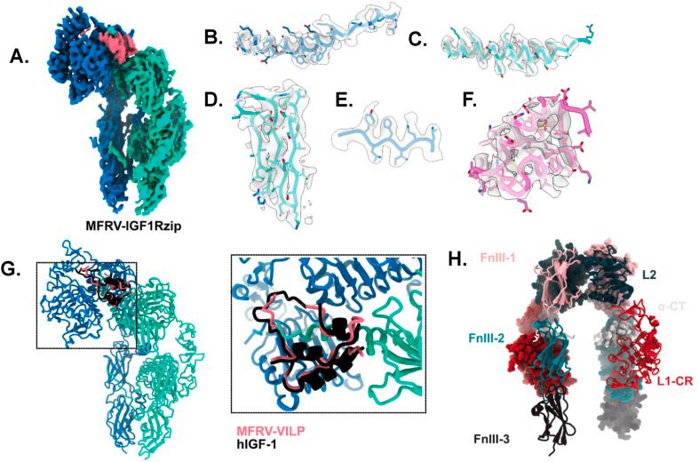 https://cdn.ncbi.nlm.nih.gov/pmc/blobs/70b9/10831276/79c32e66ee55/gr8.jpg