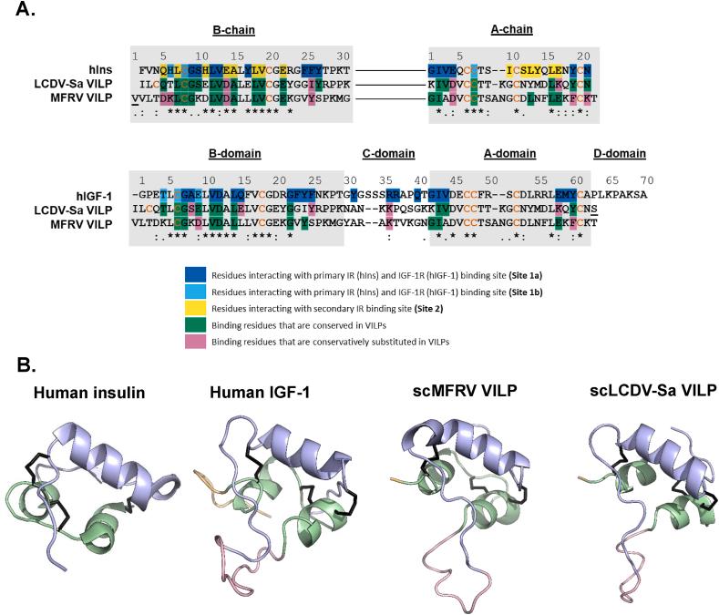 https://cdn.ncbi.nlm.nih.gov/pmc/blobs/70b9/10831276/9553602a8e09/gr1.jpg