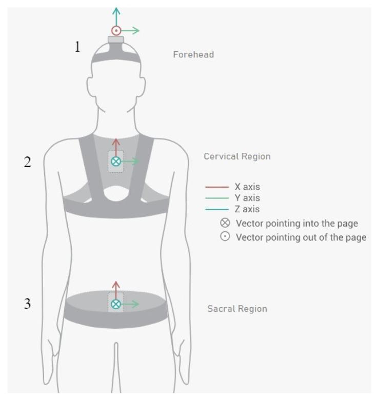 https://cdn.ncbi.nlm.nih.gov/pmc/blobs/70ba/10857203/3c41cbccd3dd/sensors-24-00913-g002.jpg