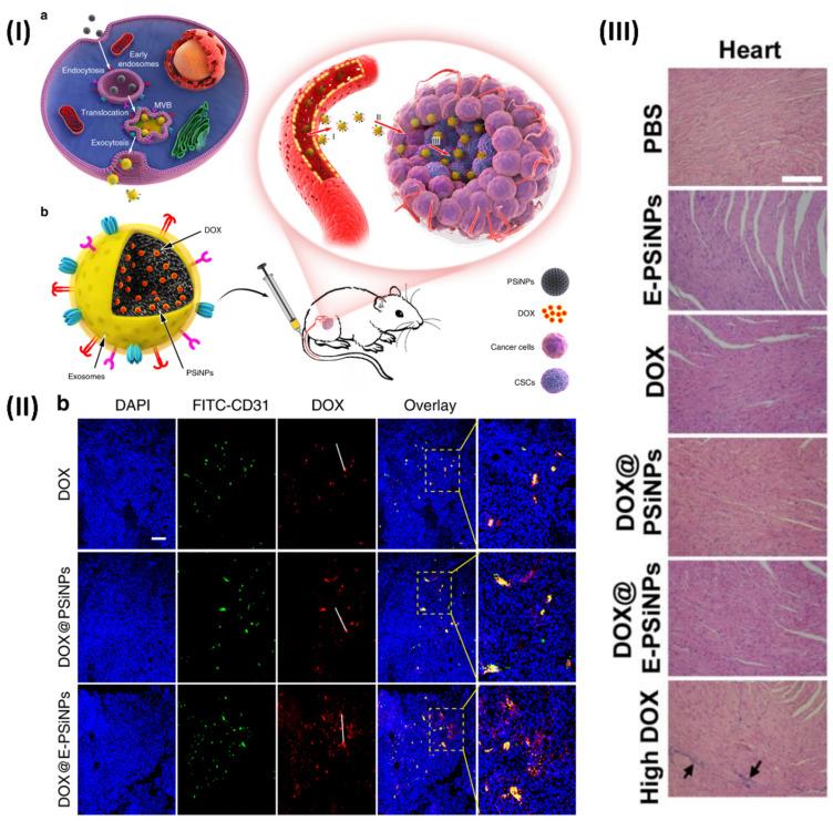 https://cdn.ncbi.nlm.nih.gov/pmc/blobs/70bb/11217786/56945085b709/ntnov08p0473g009.jpg