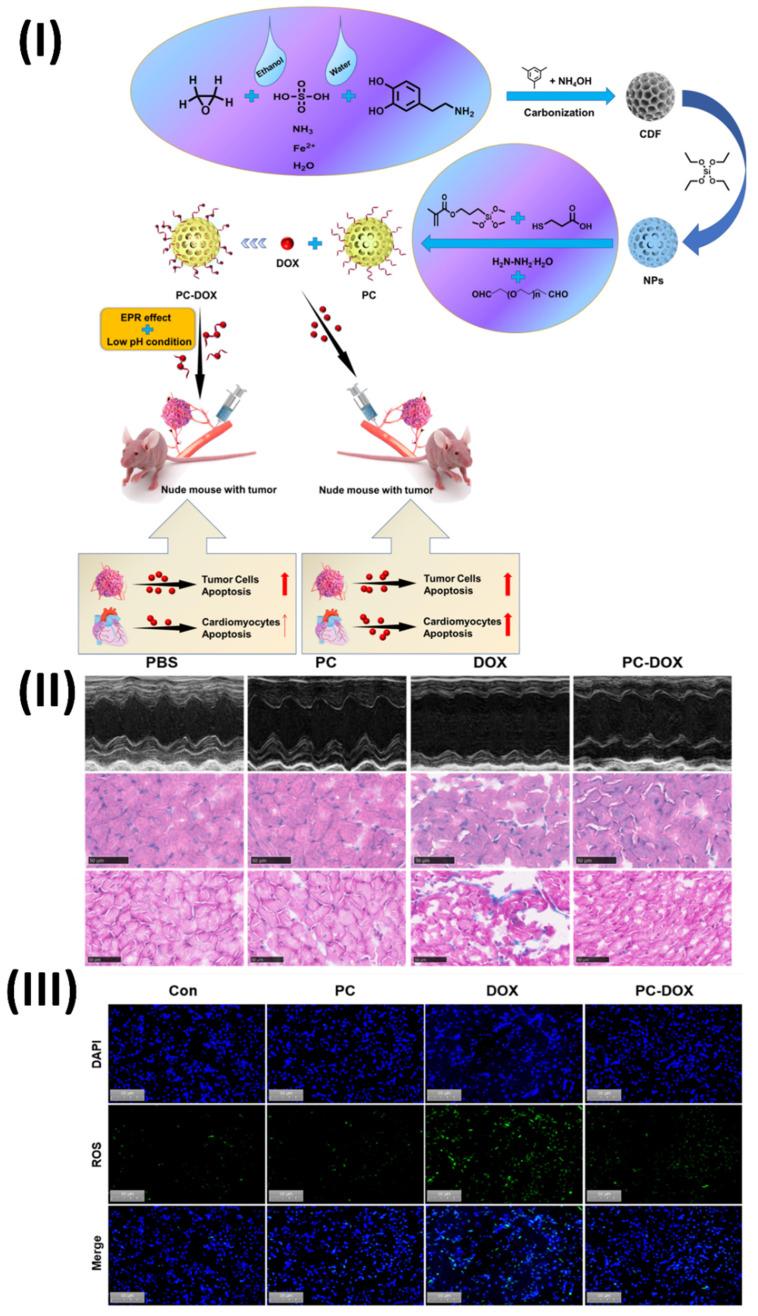 https://cdn.ncbi.nlm.nih.gov/pmc/blobs/70bb/11217786/5cf52c1c09fe/ntnov08p0473g007.jpg