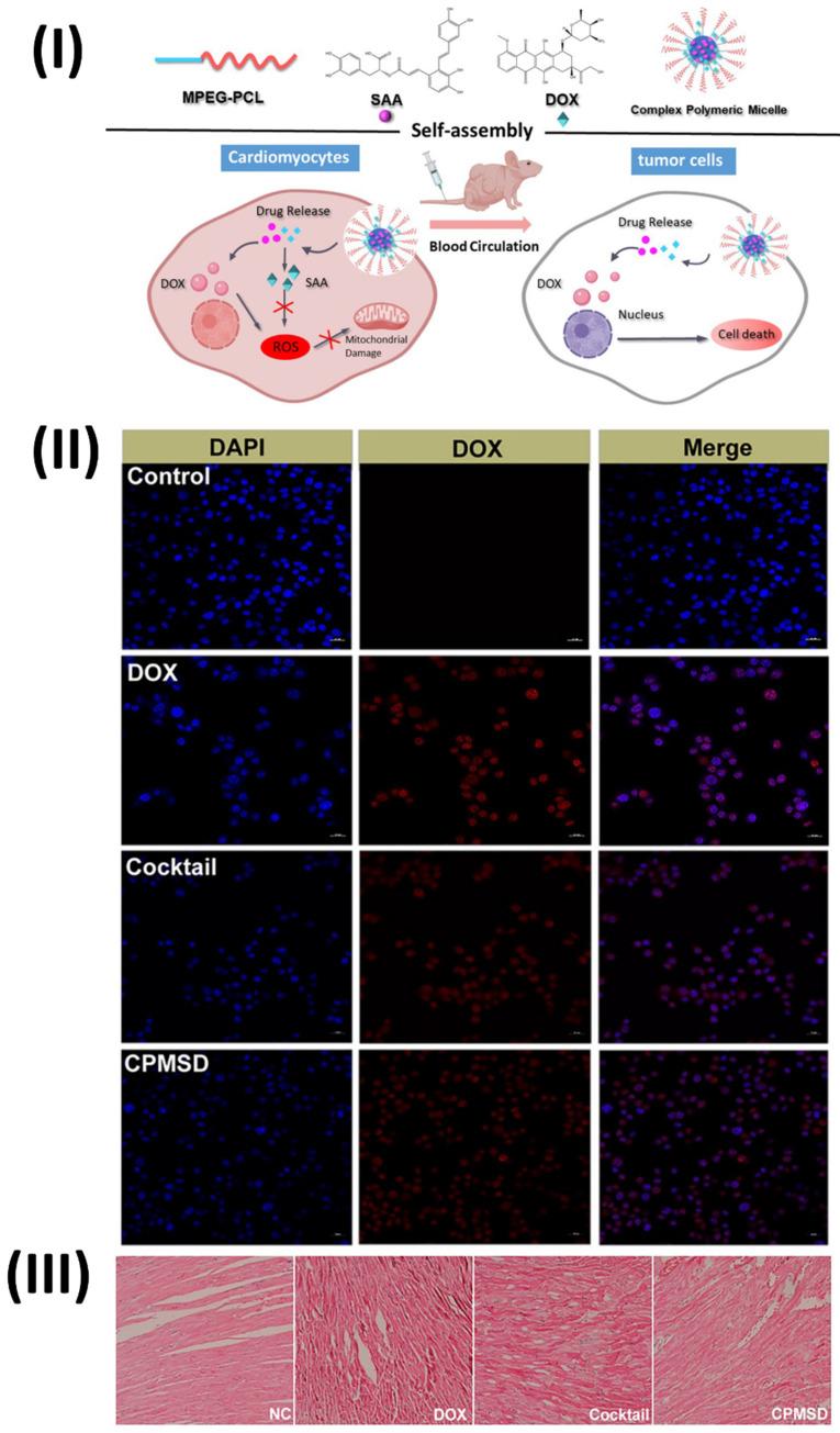 https://cdn.ncbi.nlm.nih.gov/pmc/blobs/70bb/11217786/6a0361dfa4fc/ntnov08p0473g008.jpg