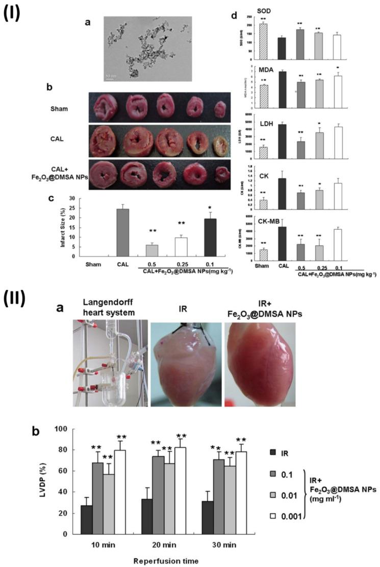 https://cdn.ncbi.nlm.nih.gov/pmc/blobs/70bb/11217786/ac9639cdaa47/ntnov08p0473g003.jpg