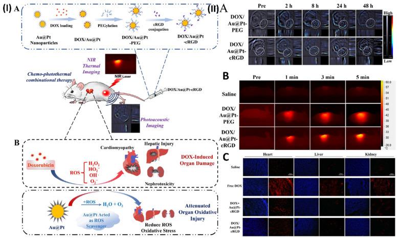 https://cdn.ncbi.nlm.nih.gov/pmc/blobs/70bb/11217786/b2cb62e435e5/ntnov08p0473g006.jpg