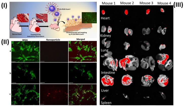 https://cdn.ncbi.nlm.nih.gov/pmc/blobs/70bb/11217786/e9dd14cf6477/ntnov08p0473g005.jpg