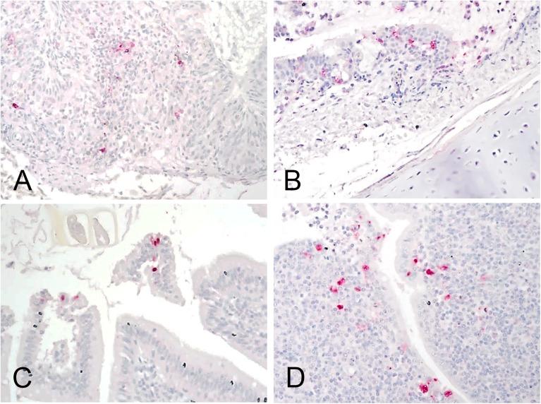 https://cdn.ncbi.nlm.nih.gov/pmc/blobs/70c2/5421793/a9daf26903b2/pone.0177265.g007.jpg