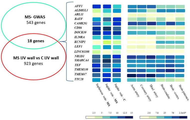 https://cdn.ncbi.nlm.nih.gov/pmc/blobs/70c3/8745220/5b1f76f0b7ad/ijms-23-00310-g001.jpg