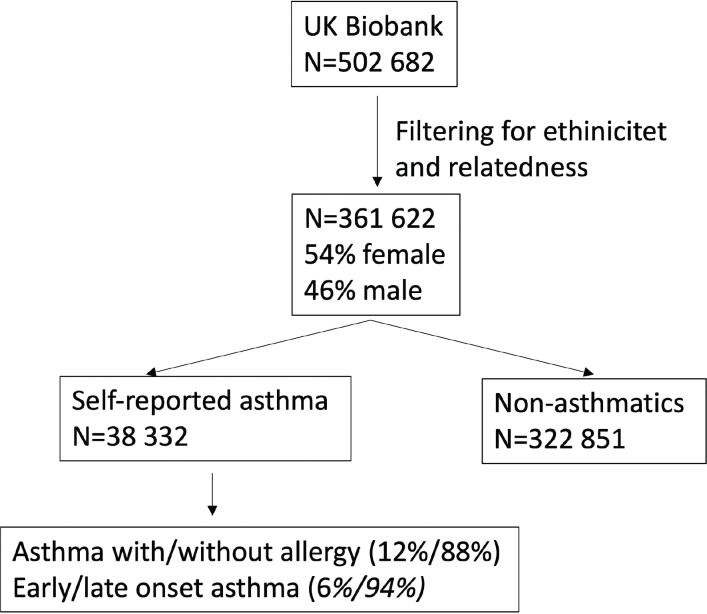 https://cdn.ncbi.nlm.nih.gov/pmc/blobs/70c5/12320926/398c201d02a5/UJMS-130-12243-g001.jpg