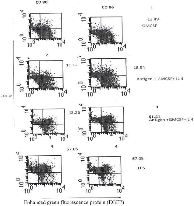 https://cdn.ncbi.nlm.nih.gov/pmc/blobs/70c6/3249966/fed4f45f33cf/IJMR-134-672-g003.jpg