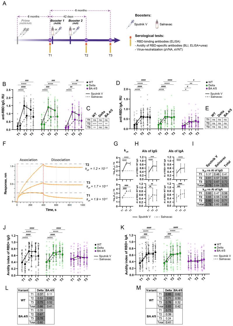 https://cdn.ncbi.nlm.nih.gov/pmc/blobs/70c8/11680177/e95cf4dea8e3/vaccines-12-01362-g002.jpg