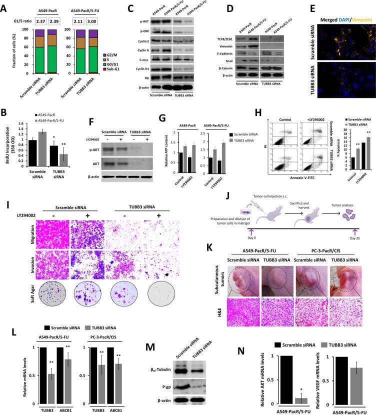 https://cdn.ncbi.nlm.nih.gov/pmc/blobs/70c8/5085164/1523b81bd7e7/oncotarget-07-34395-g006.jpg