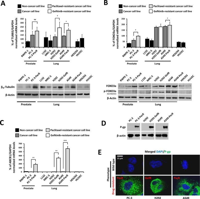 https://cdn.ncbi.nlm.nih.gov/pmc/blobs/70c8/5085164/4ce7480c2d2b/oncotarget-07-34395-g001.jpg