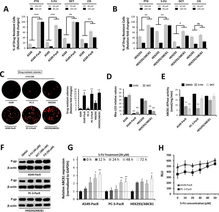 https://cdn.ncbi.nlm.nih.gov/pmc/blobs/70c8/5085164/a03e57b1c431/oncotarget-07-34395-g002.jpg