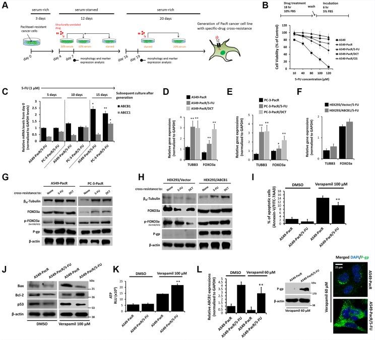 https://cdn.ncbi.nlm.nih.gov/pmc/blobs/70c8/5085164/c8d2b1603d66/oncotarget-07-34395-g003.jpg