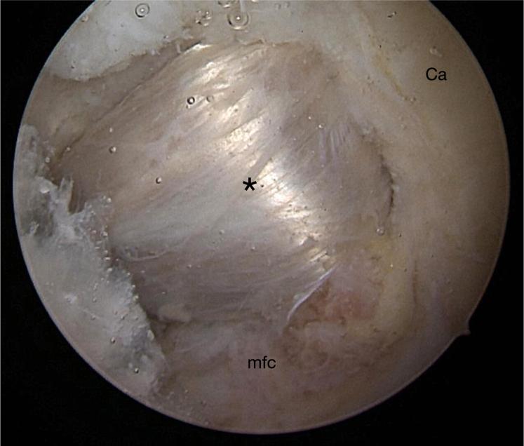 https://cdn.ncbi.nlm.nih.gov/pmc/blobs/70c8/9984795/aeb2fcee9394/gr10.jpg