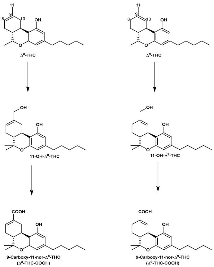 https://cdn.ncbi.nlm.nih.gov/pmc/blobs/70cb/10976172/621bf4af990c/molecules-29-01249-g007.jpg