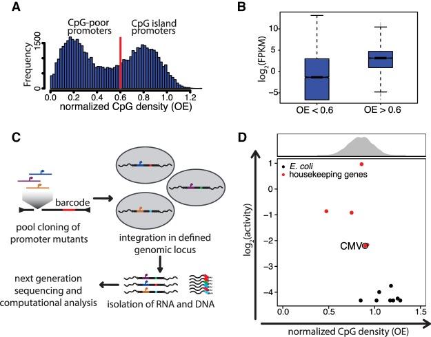 https://cdn.ncbi.nlm.nih.gov/pmc/blobs/70cb/6442381/c0954e100626/554f01.jpg