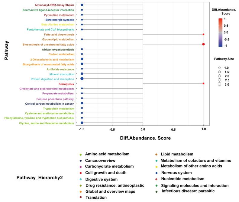 https://cdn.ncbi.nlm.nih.gov/pmc/blobs/70cc/10672912/4f5c91558279/microorganisms-11-02628-g005.jpg