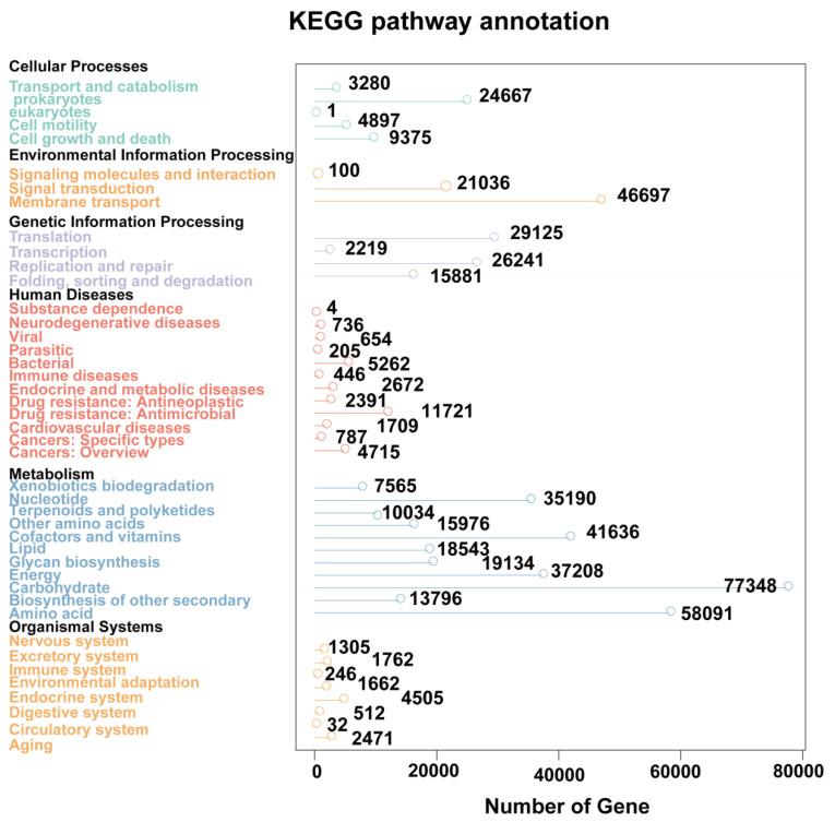 https://cdn.ncbi.nlm.nih.gov/pmc/blobs/70cc/10672912/7276e2888927/microorganisms-11-02628-g002.jpg