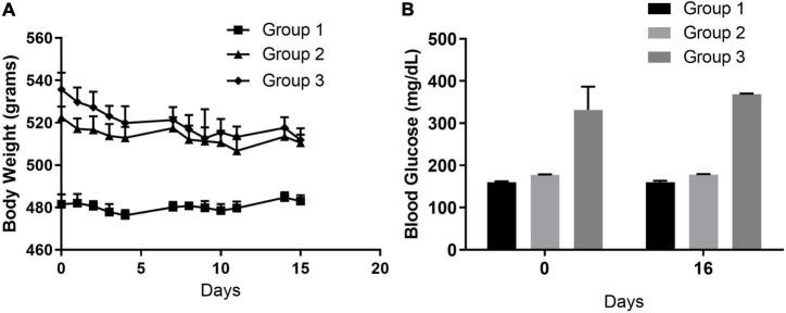 https://cdn.ncbi.nlm.nih.gov/pmc/blobs/70ce/9721138/3c4d3bd34ba0/fnins-16-1039960-g003.jpg