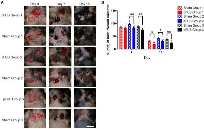 https://cdn.ncbi.nlm.nih.gov/pmc/blobs/70ce/9721138/dbc07e5ded81/fnins-16-1039960-g004.jpg