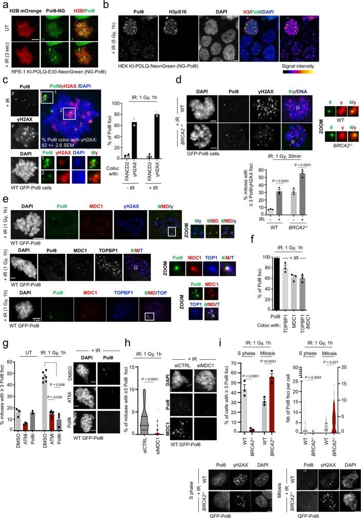 https://cdn.ncbi.nlm.nih.gov/pmc/blobs/70cf/10499603/300a17a56885/41586_2023_6506_Fig7_ESM.jpg