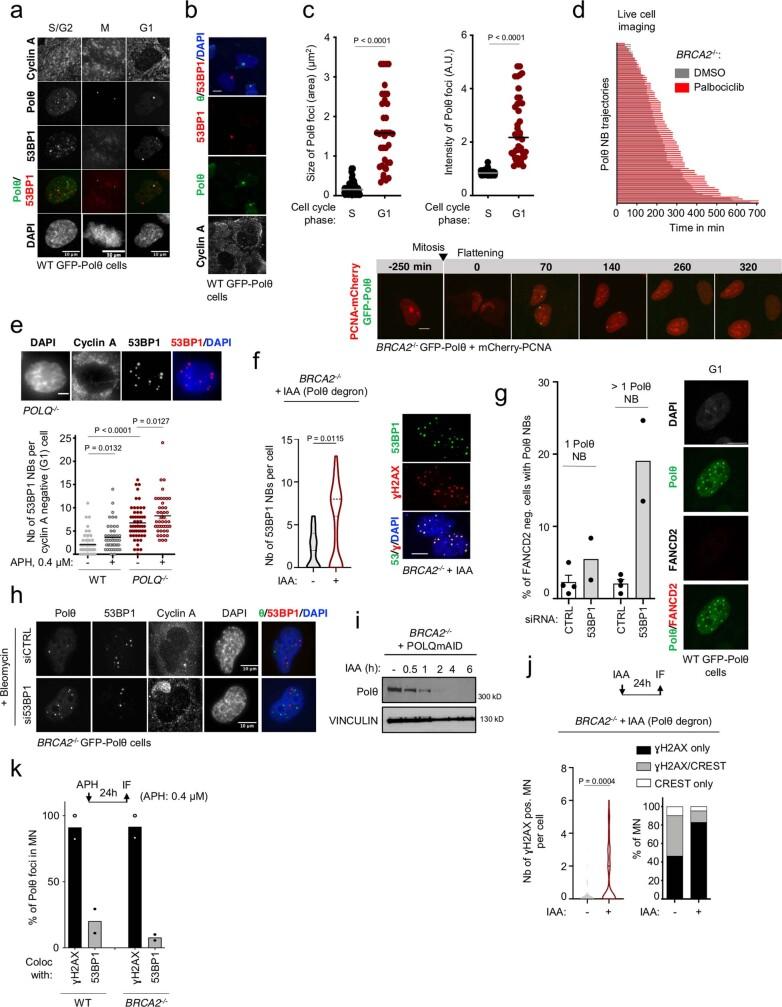 https://cdn.ncbi.nlm.nih.gov/pmc/blobs/70cf/10499603/3223e917d325/41586_2023_6506_Fig13_ESM.jpg