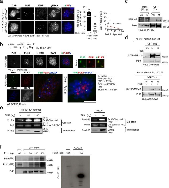 https://cdn.ncbi.nlm.nih.gov/pmc/blobs/70cf/10499603/756536012e1e/41586_2023_6506_Fig8_ESM.jpg