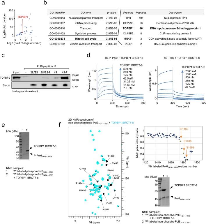 https://cdn.ncbi.nlm.nih.gov/pmc/blobs/70cf/10499603/8ebcaa544b51/41586_2023_6506_Fig10_ESM.jpg