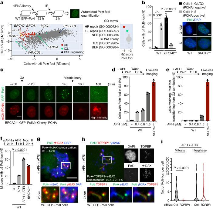 https://cdn.ncbi.nlm.nih.gov/pmc/blobs/70cf/10499603/a70595b99cfd/41586_2023_6506_Fig1_HTML.jpg