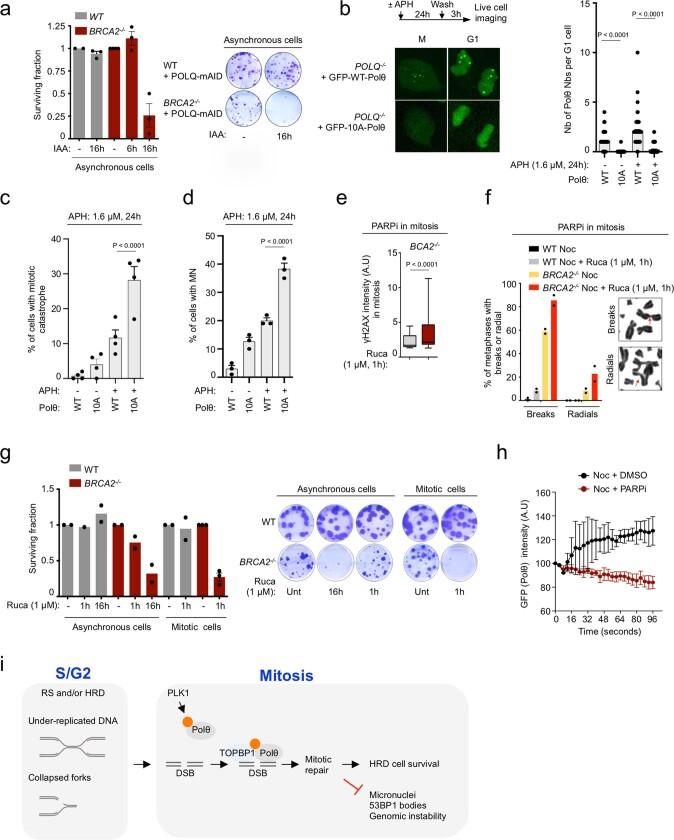 https://cdn.ncbi.nlm.nih.gov/pmc/blobs/70cf/10499603/bc0de098c8c1/41586_2023_6506_Fig14_ESM.jpg
