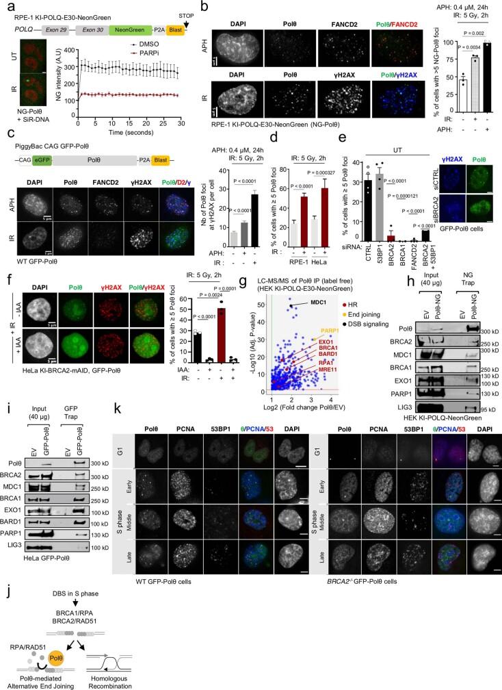 https://cdn.ncbi.nlm.nih.gov/pmc/blobs/70cf/10499603/c5d8ed014b2a/41586_2023_6506_Fig5_ESM.jpg