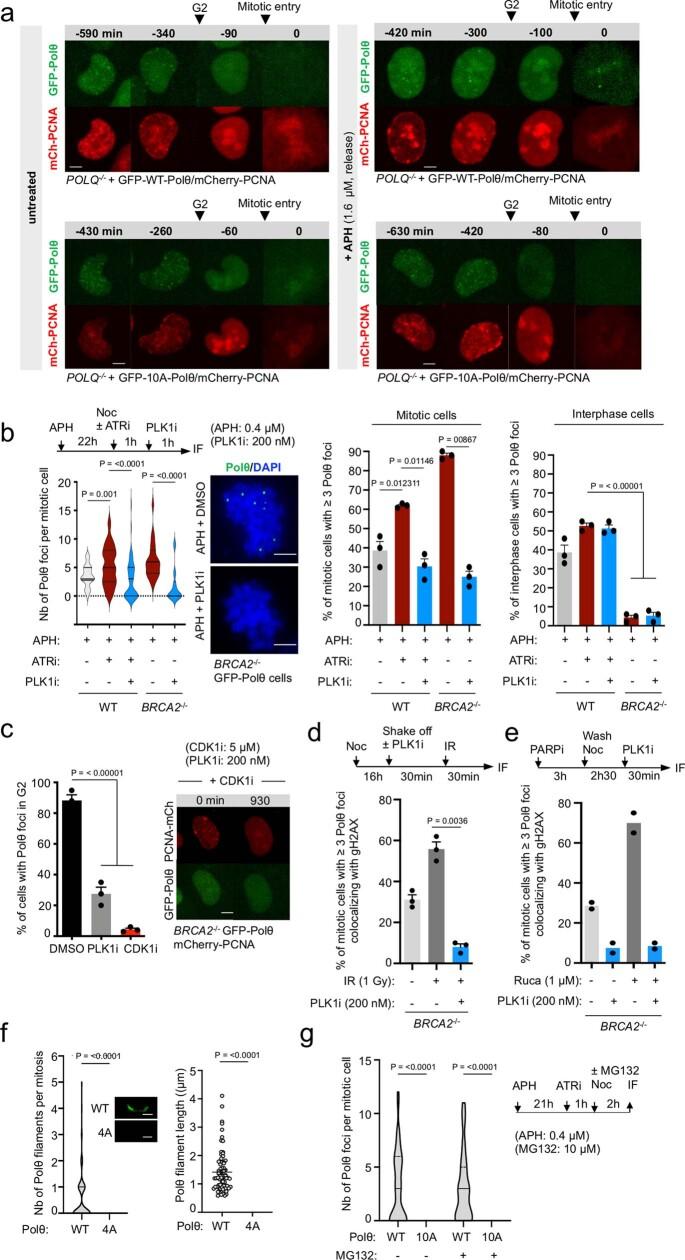 https://cdn.ncbi.nlm.nih.gov/pmc/blobs/70cf/10499603/e6dfb313379f/41586_2023_6506_Fig12_ESM.jpg