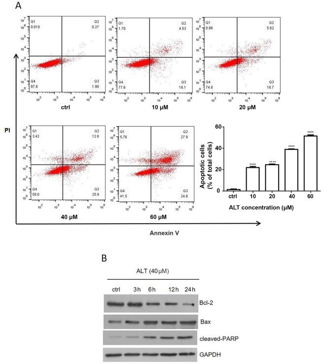 https://cdn.ncbi.nlm.nih.gov/pmc/blobs/70d0/6507453/19a912197030/ol-17-06-4795-g02.jpg