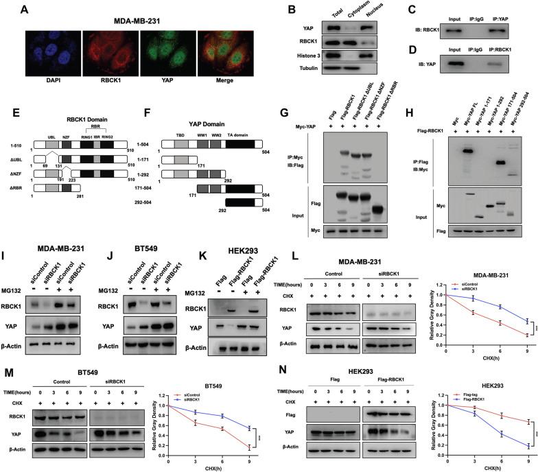 https://cdn.ncbi.nlm.nih.gov/pmc/blobs/70d2/9590148/ea8aaa67bff1/12964_2022_963_Fig6_HTML.jpg