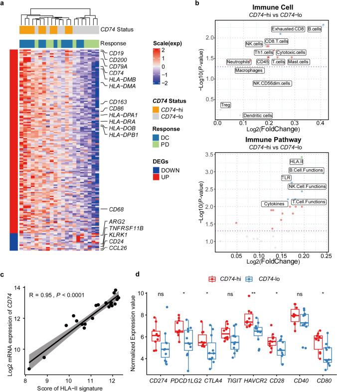 https://cdn.ncbi.nlm.nih.gov/pmc/blobs/70d3/10992620/112ea591737f/262_2023_3604_Fig2_HTML.jpg