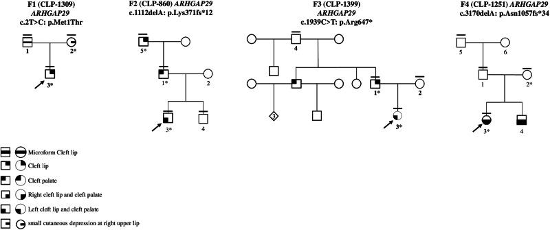 https://cdn.ncbi.nlm.nih.gov/pmc/blobs/70d4/11711499/c77b81047919/41431_2024_1727_Fig1_HTML.jpg