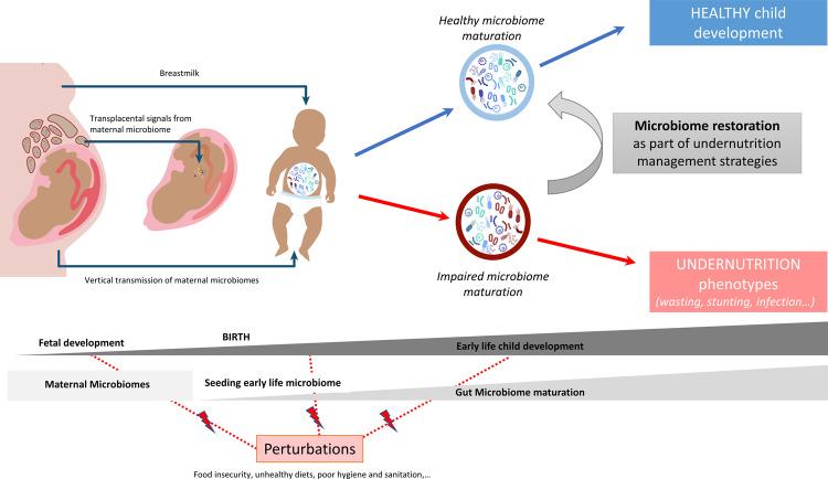 https://cdn.ncbi.nlm.nih.gov/pmc/blobs/70d5/10272168/06d297366483/41467_2023_39285_Fig1_HTML.jpg