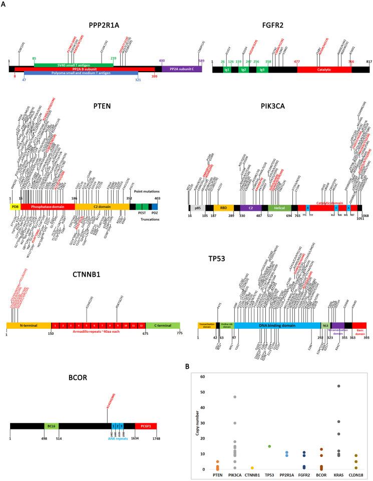 https://cdn.ncbi.nlm.nih.gov/pmc/blobs/70d6/10896512/2edcfb6fb270/pone.0299114.g003.jpg