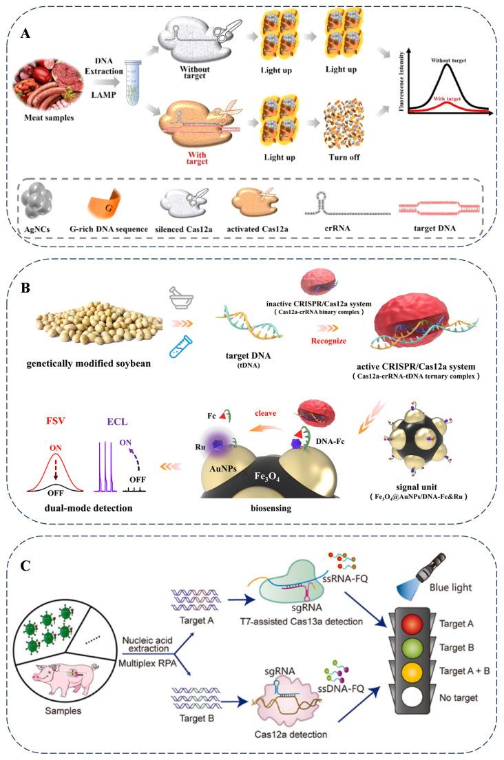 https://cdn.ncbi.nlm.nih.gov/pmc/blobs/70d8/11989147/97ce03e52117/foods-14-01116-g004.jpg