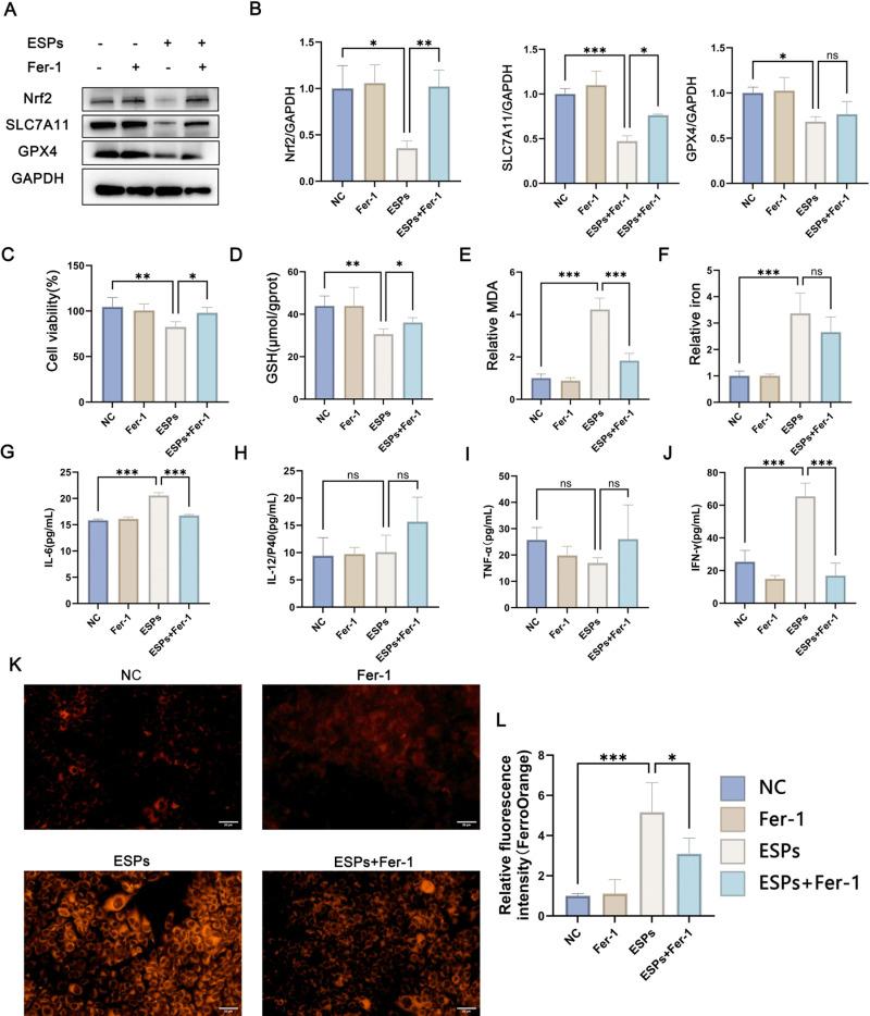 https://cdn.ncbi.nlm.nih.gov/pmc/blobs/70d8/12151476/ce9e9735c3aa/pntd.0013164.g003.jpg