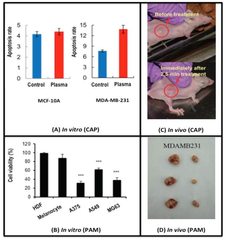 https://cdn.ncbi.nlm.nih.gov/pmc/blobs/70d9/7696697/5dcf66d41a6b/cancers-12-03360-g001.jpg
