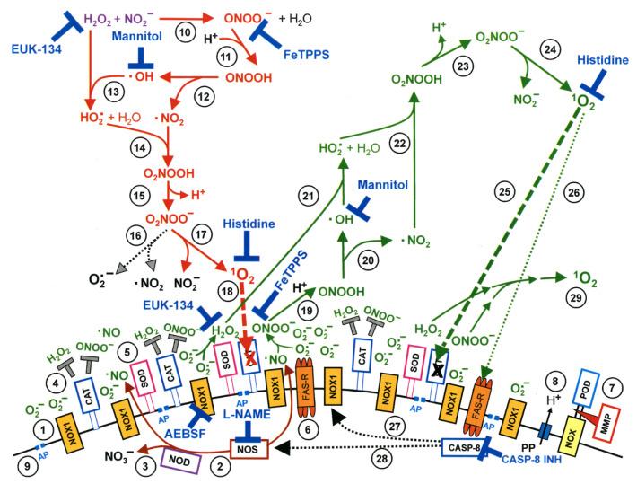https://cdn.ncbi.nlm.nih.gov/pmc/blobs/70d9/7696697/977558e616d6/cancers-12-03360-g002.jpg