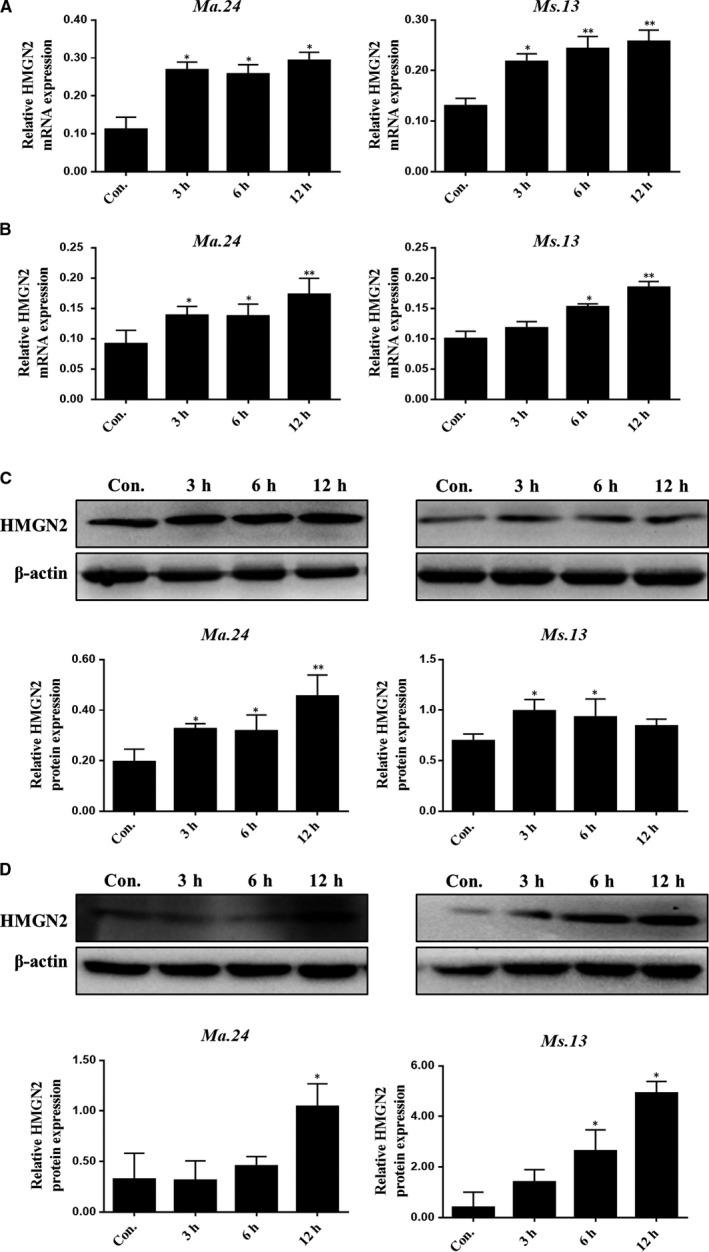 https://cdn.ncbi.nlm.nih.gov/pmc/blobs/70db/6850944/34ced189e2c6/JCMM-23-7985-g002.jpg