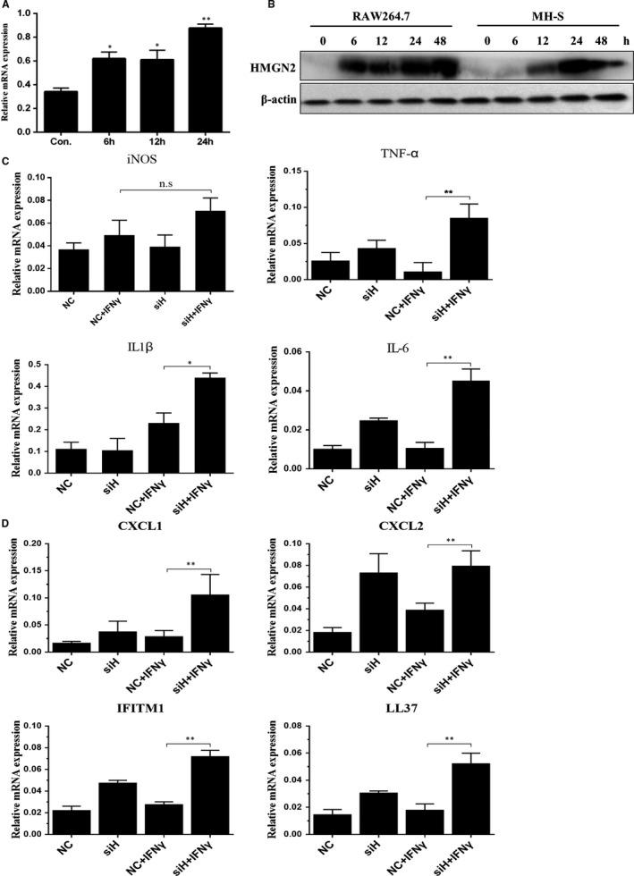 https://cdn.ncbi.nlm.nih.gov/pmc/blobs/70db/6850944/66afd7137bf1/JCMM-23-7985-g006.jpg