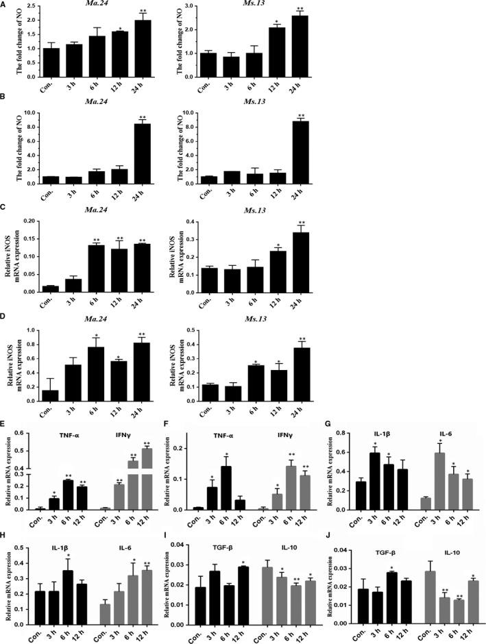 https://cdn.ncbi.nlm.nih.gov/pmc/blobs/70db/6850944/e0343b7a196d/JCMM-23-7985-g001.jpg