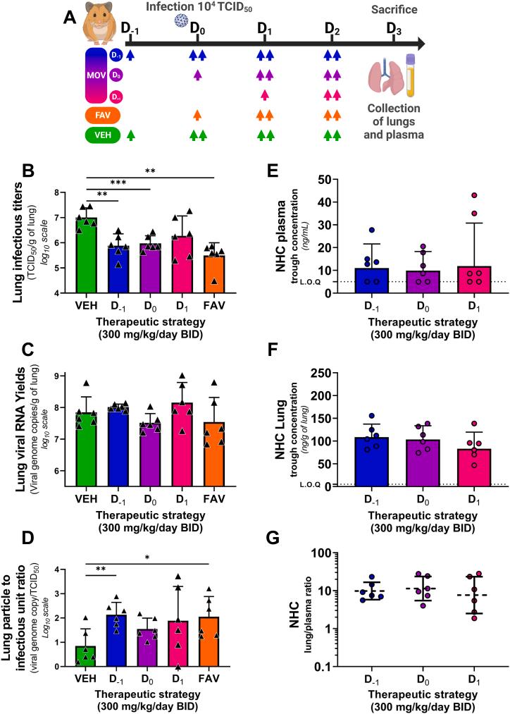 https://cdn.ncbi.nlm.nih.gov/pmc/blobs/70df/11128822/7806e18bfecc/gr3.jpg