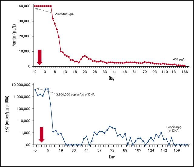 https://cdn.ncbi.nlm.nih.gov/pmc/blobs/70e1/6325304/cfa3e61a3a51/advances025858absf1.jpg